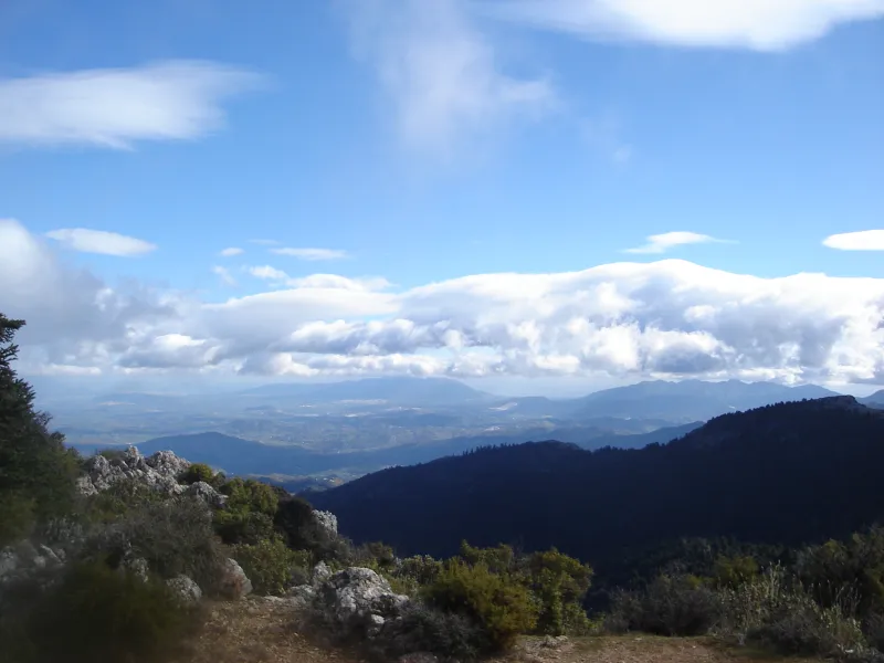 DSC00054.JPG