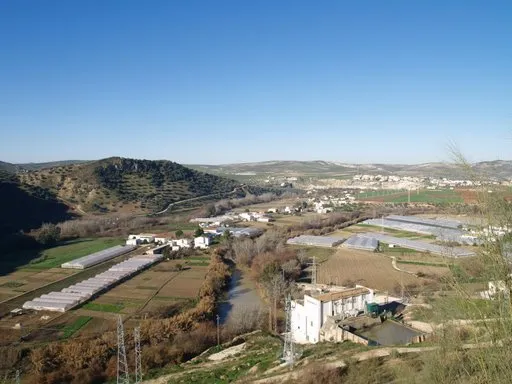 Jauja