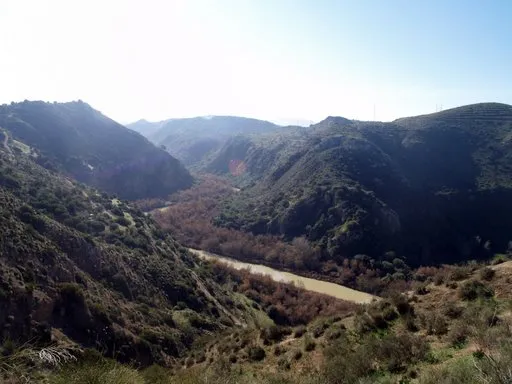 Jauja