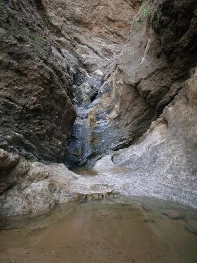 Jauja