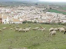 CIMG0136
