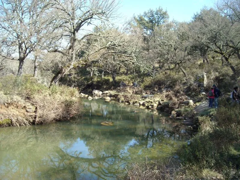RUTA RIO CAMPOBUCHE, GRAZALEMA