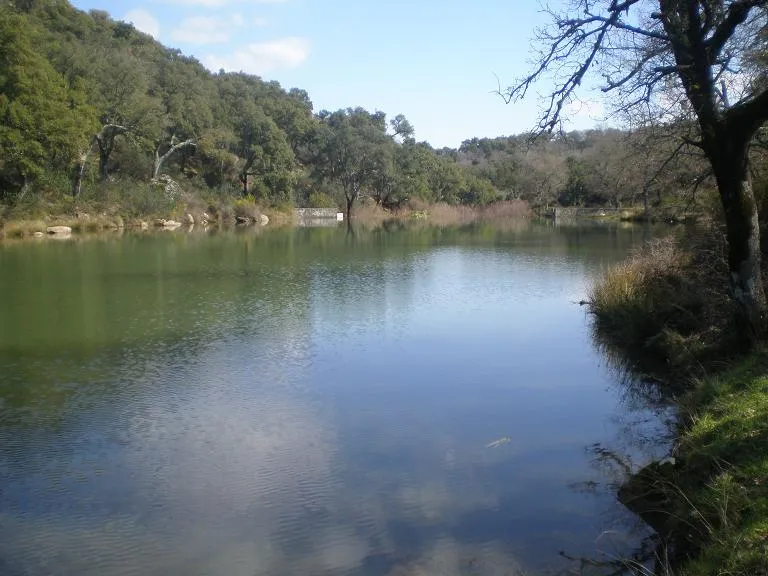 RUTA RIO CAMPOBUCHE, GRAZALEMA