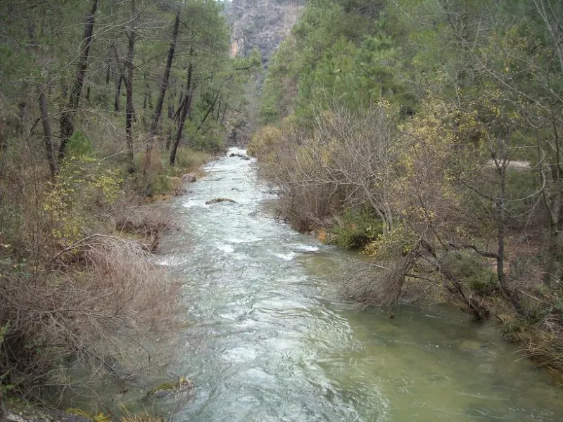 rio borosa s. cazorla