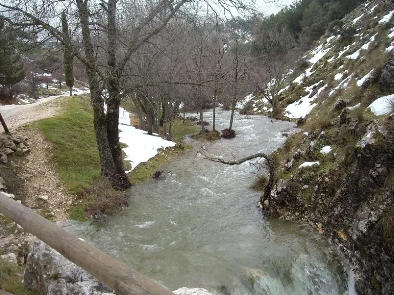 DSCN1601