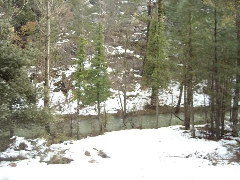 DSCN1623