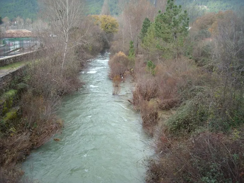 DSCN1667
