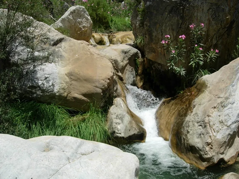 DSCN3919