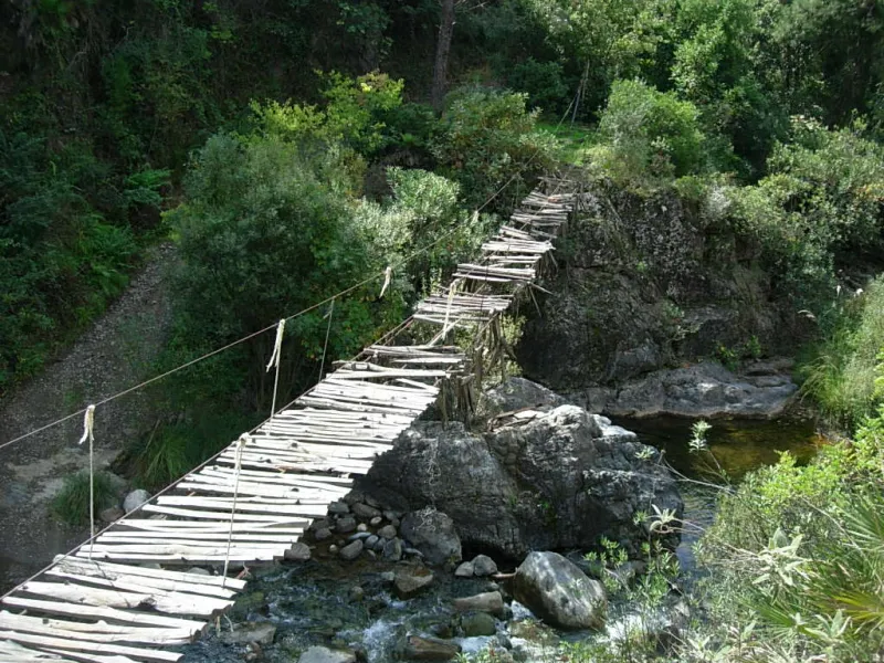 DSCN5965