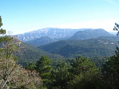 Las Acebeas y Cumbre del Navalperal 