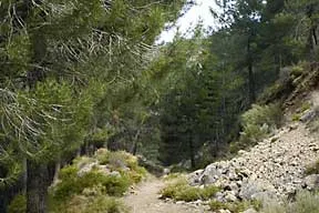 Cerro Huenes