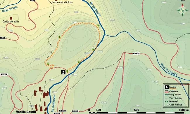 mapa de ruta