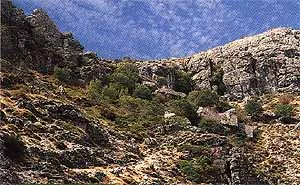 Foto8000