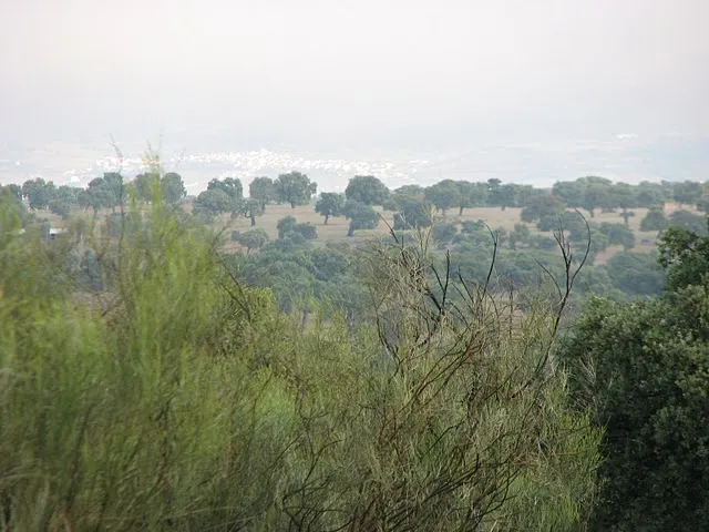 CAÑADA REAL SORIANA TRAMO 2