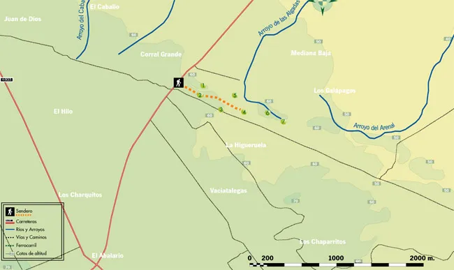 mapa de ruta