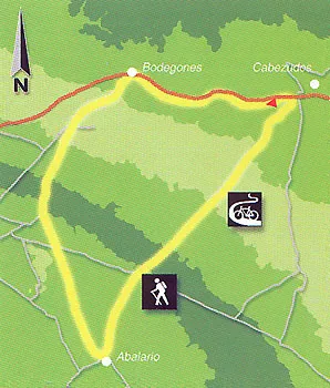 Mapa de ruta
