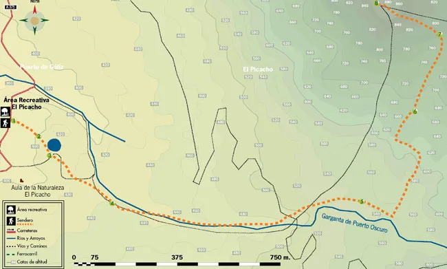 mapa de ruta