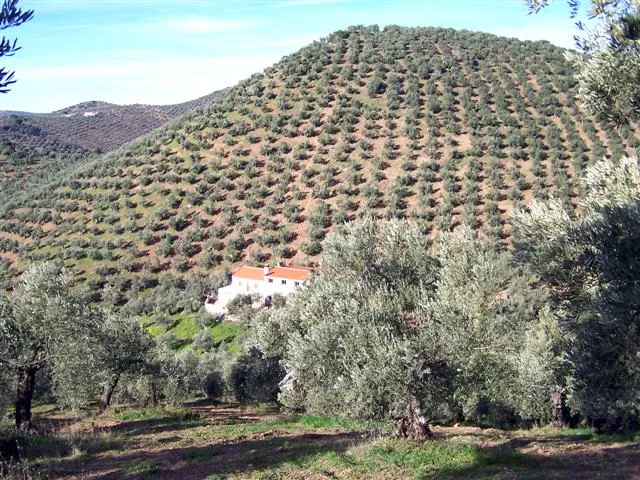 RUTA DE LA VEREDA DE PEÑA AGUILA