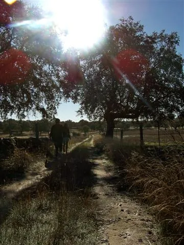 RUTA PORTEZUELO - MOTILLA