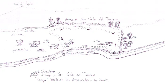 Mapa de ruta