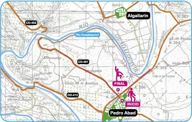 Mapa de ruta