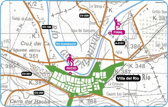 Mapa de ruta