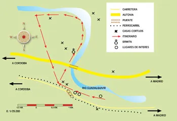 Mapa de ruta