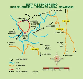 Mapa de ruta