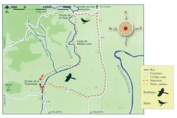 Mapa de ruta