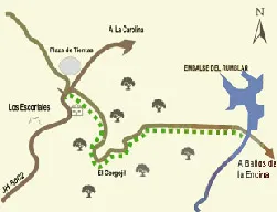Mapa de ruta