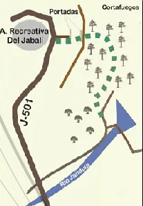 Mapa de ruta