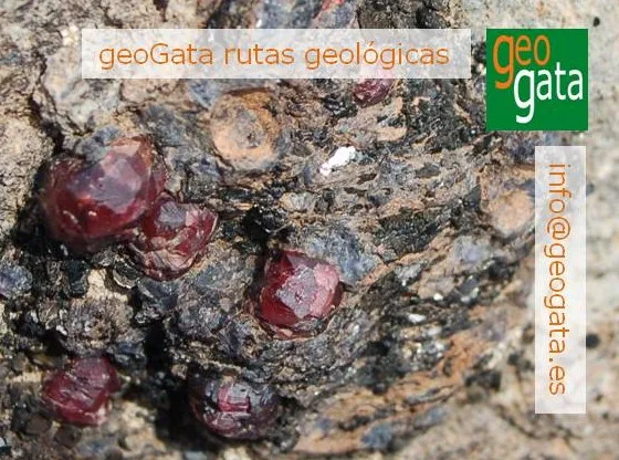 Granatilla Hoyazo Níjar