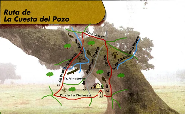 Ruta de la cuesta del Pozo (Añora)