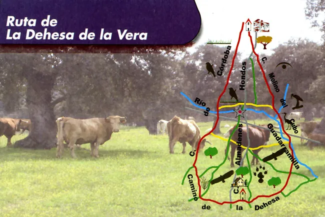 Ruta de la Dehesa de la Vera (Añora)