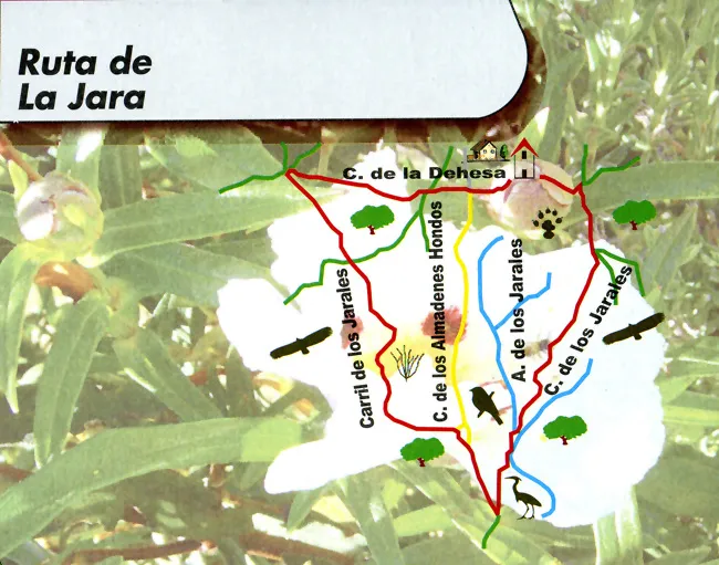 Ruta de la Jara (Añora)