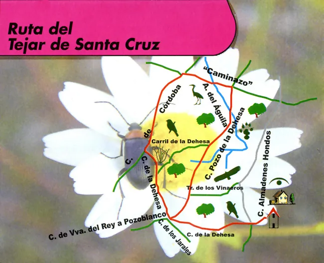Ruta del Tejar de Santa Cruz  (Añora)