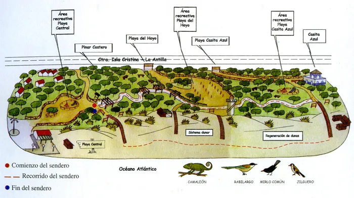Bosque litoral de Isla Cristina
