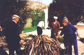 La Peza. Ruta del Alcalde Carbonero