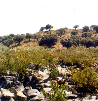 Recorrido por Fuente La Lancha
