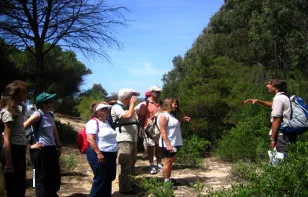 Zahara de los Atunes - Bolonia