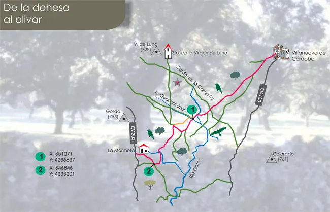 De la dehesa al olivar