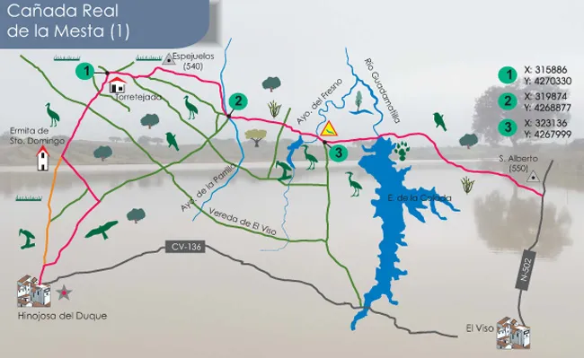 Plano Ruta