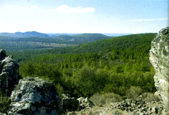 Recorrido por Villanueva del Duque