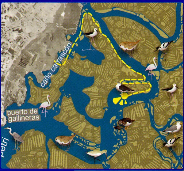 Plano ruta
