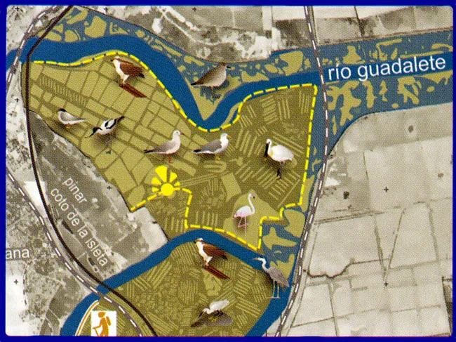 Ruta Ornitológica Salina la Tapa (El Puerto de Sta María)