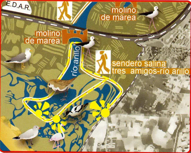 Ruta Ornitológica Rio Arillo (San Fernando-Cádiz)
