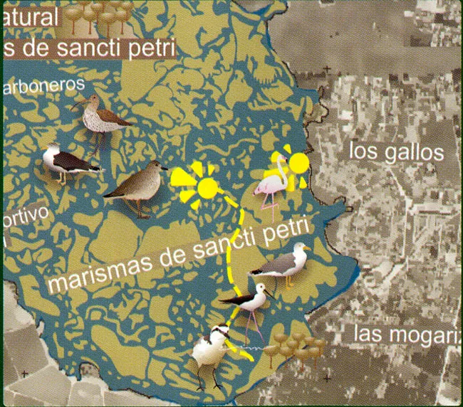 Ruta Ornitológica Carboneras (Chiclana de la Frontera)