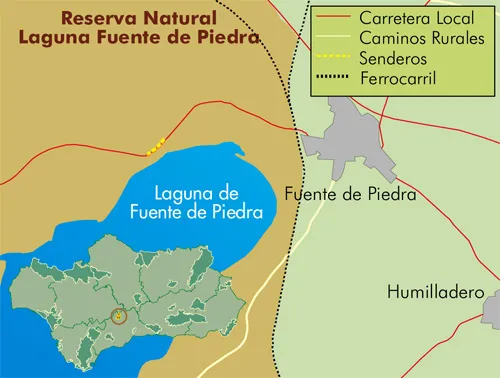 Mirador de la Vicaría (Laguna de Fuente de Piedra)