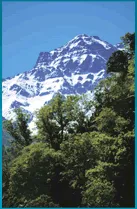 Sierra Nevada