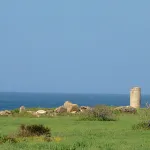 Torre del Puerco - Chiclana (Cádiz)